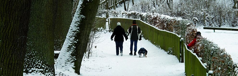 Winter in der Ahe