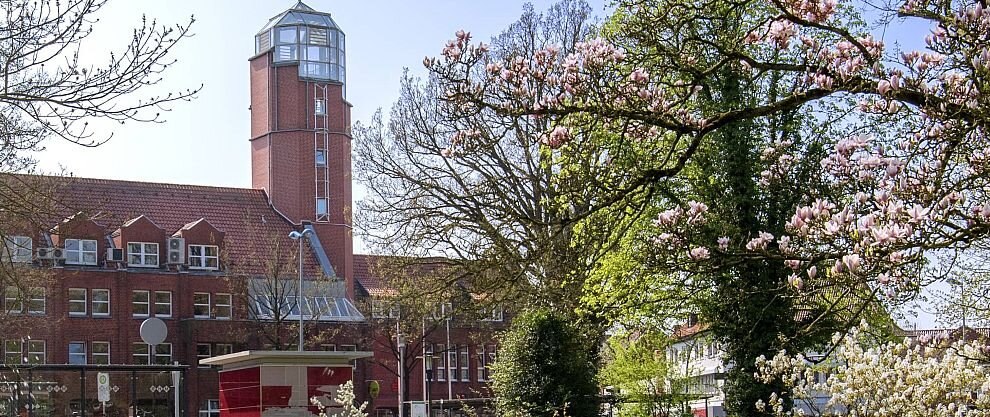 Rathaus Frühling