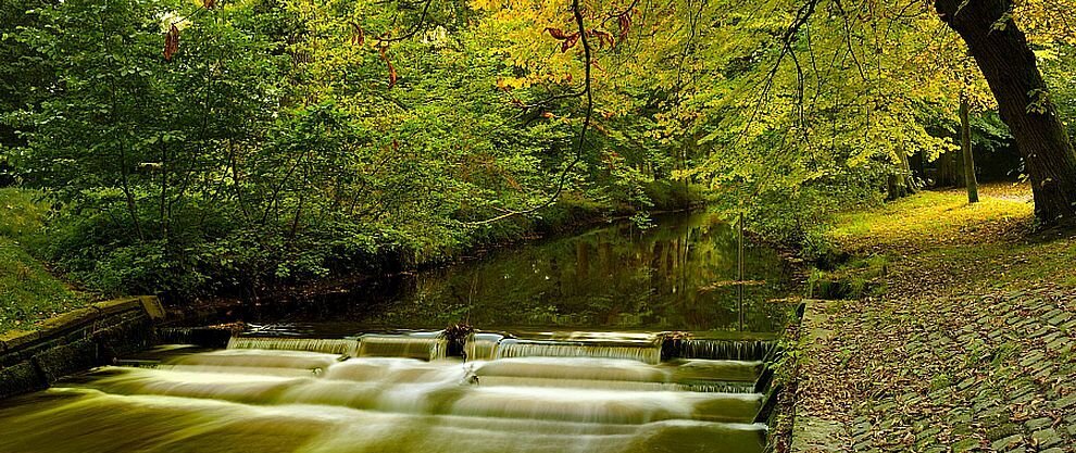 Herbstimpressionen - Mehde am Park