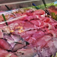 E_Fisch-Freitag